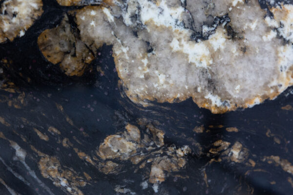 Black Cosmic (BES250214)