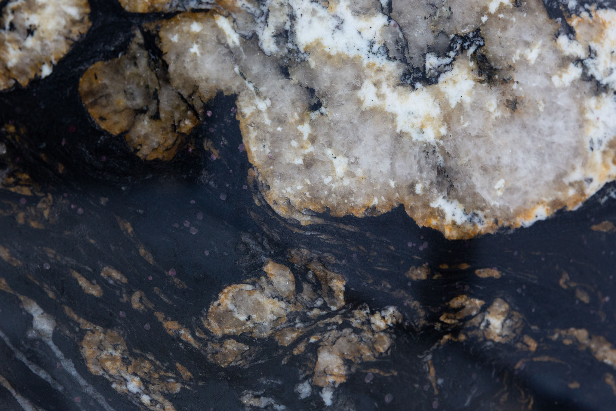 Black Cosmic (BES250214)