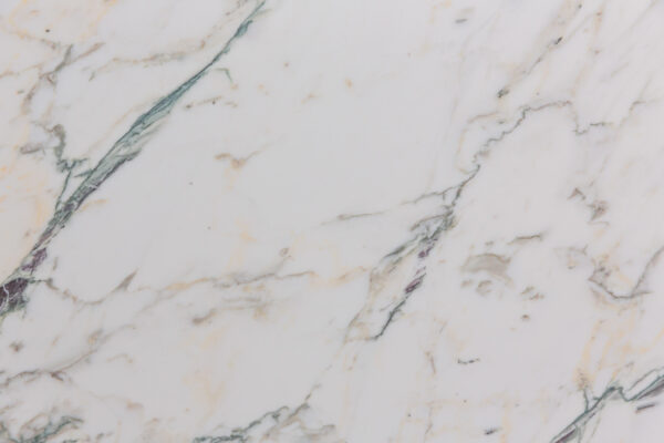 Breccia Capraia (240754)
