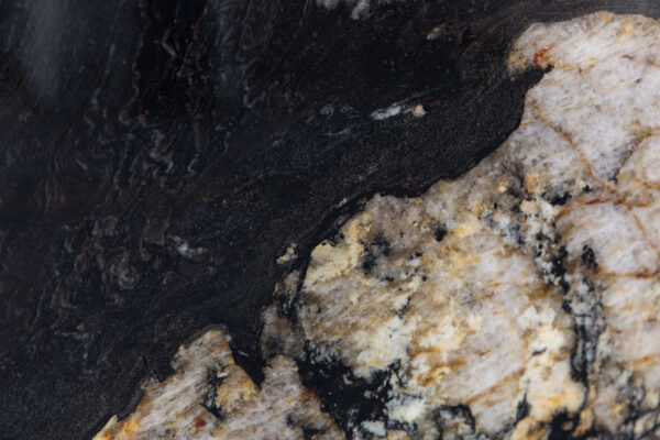 Black Cosmic (BE240741)