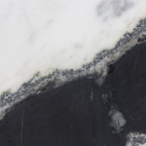 Panda white (240504)