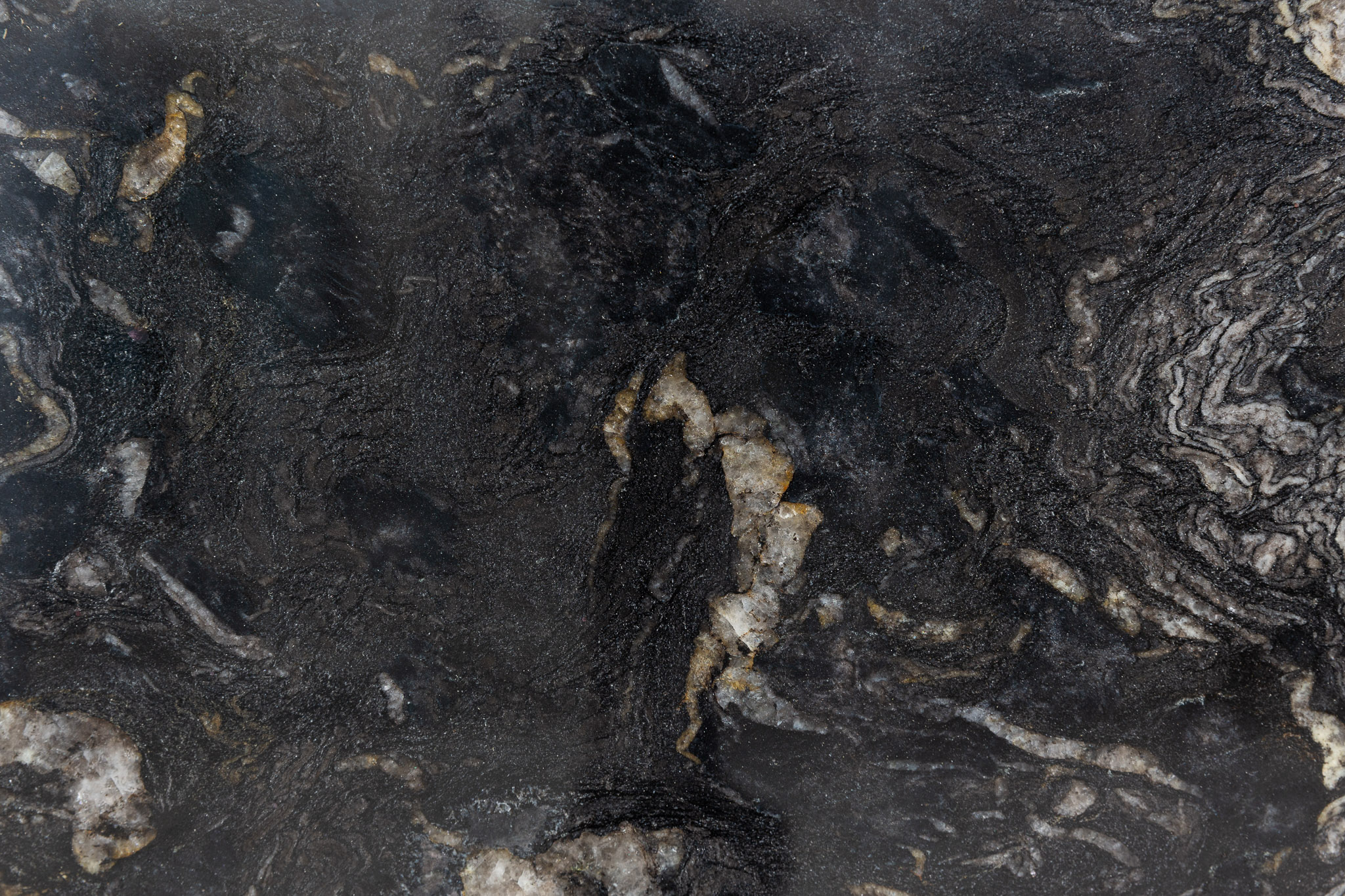 Black Cosmic (230714)