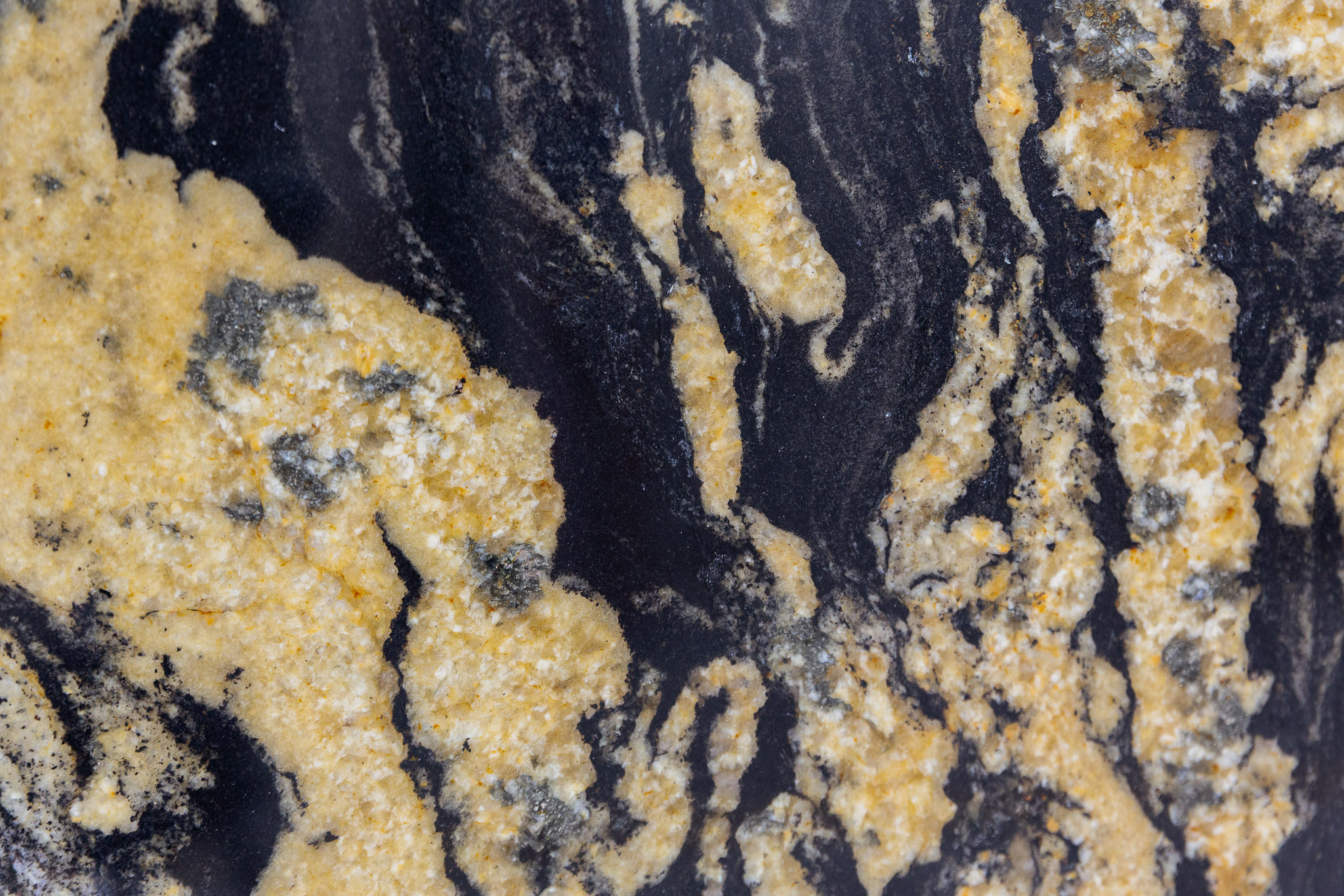 Black Fusion (230145-1)
