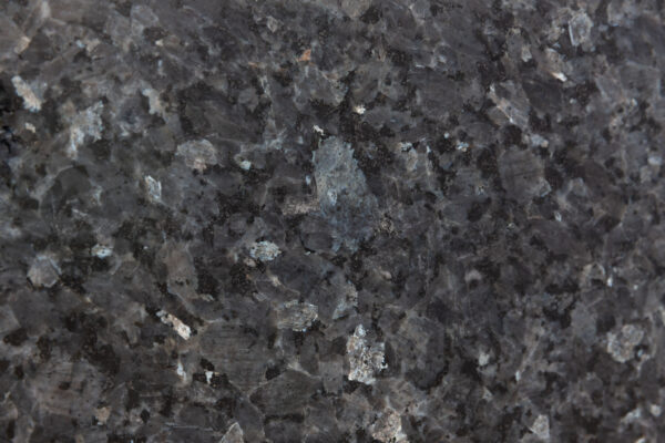 Labrador blue pearl (210617)