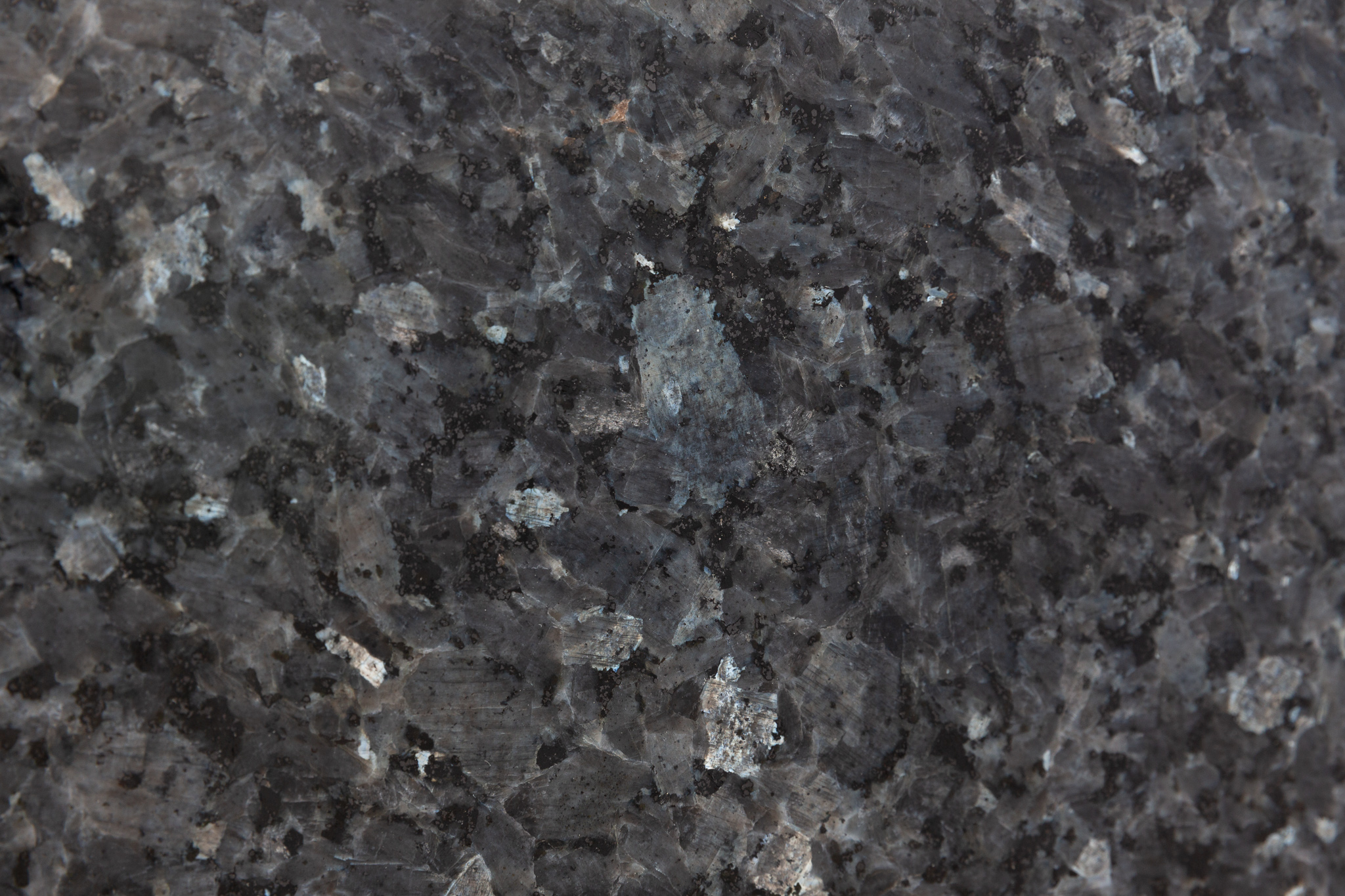 Labrador blue pearl (210617)