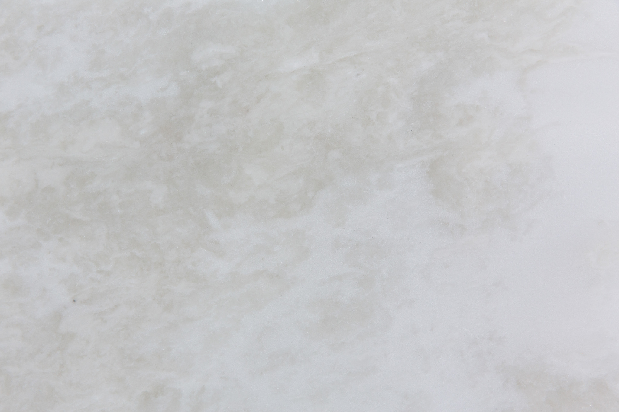 Rino White (210568)