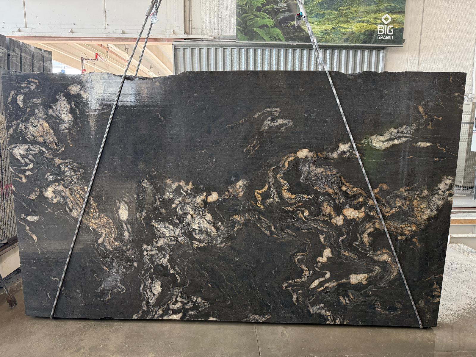 Black Cosmic (250124)