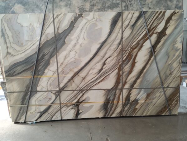 Oyster Apuano (250309)