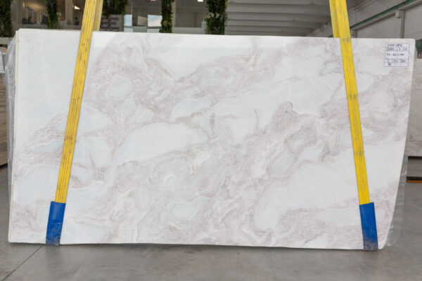Oyster Purple (250401) - Image 2