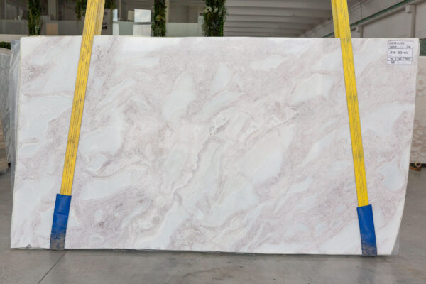 Oyster Purple (250401) - Image 4