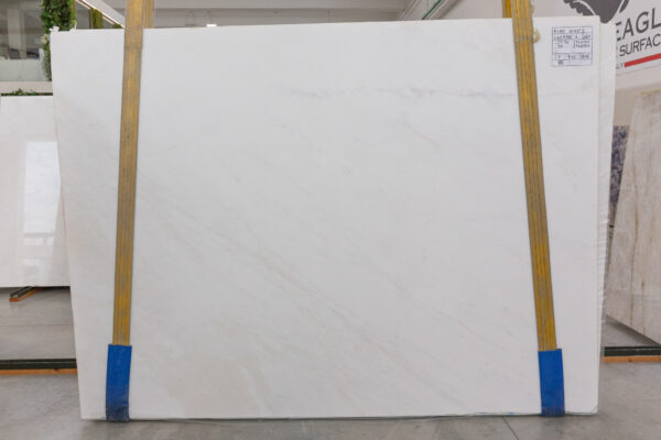 Rino White (240758)