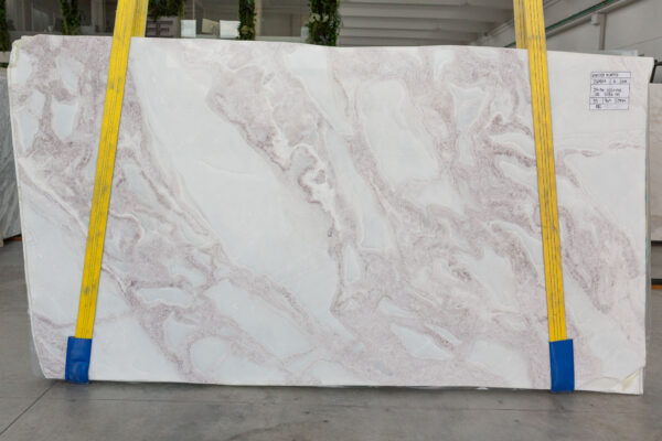 Oyster Purple (250401) - Image 5