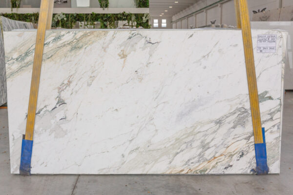 Breccia Capraia (240754) - Image 7