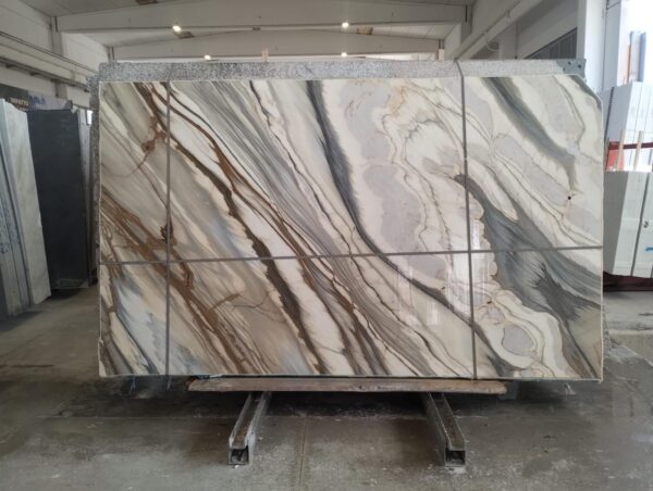 Oyster Apuano (250309) - Image 8