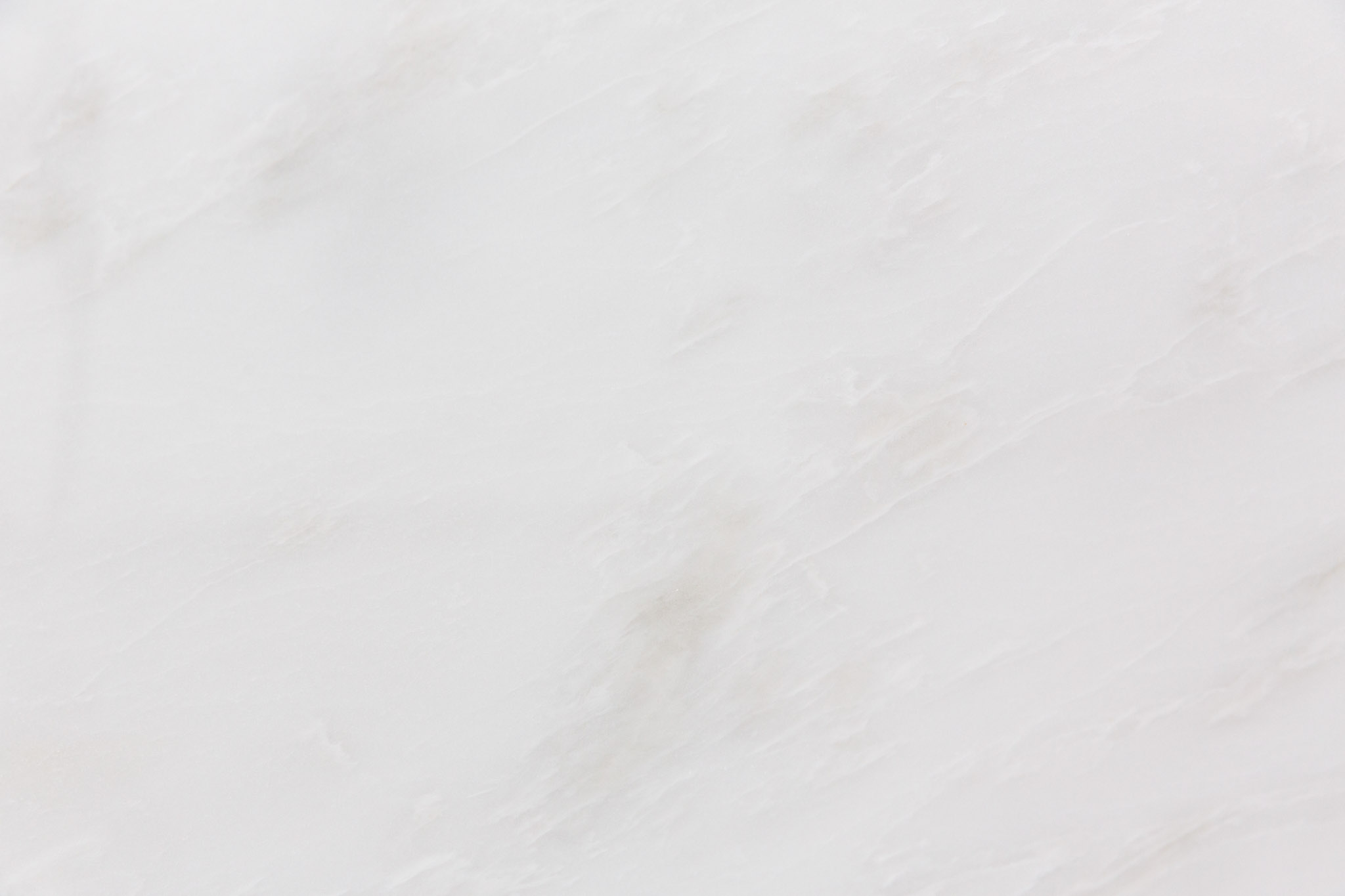 Rino White (240759)