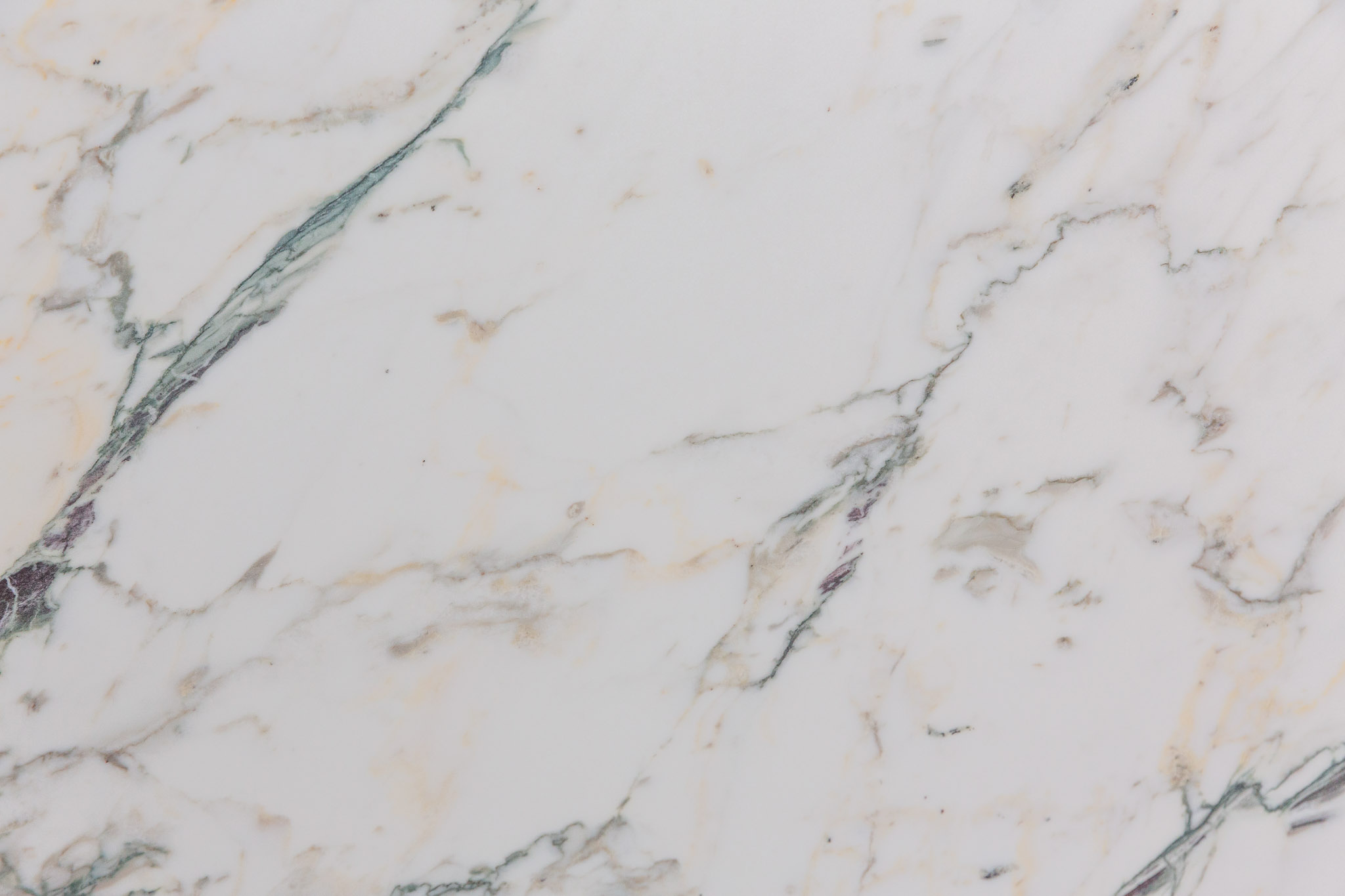 Breccia Capraia (240754)