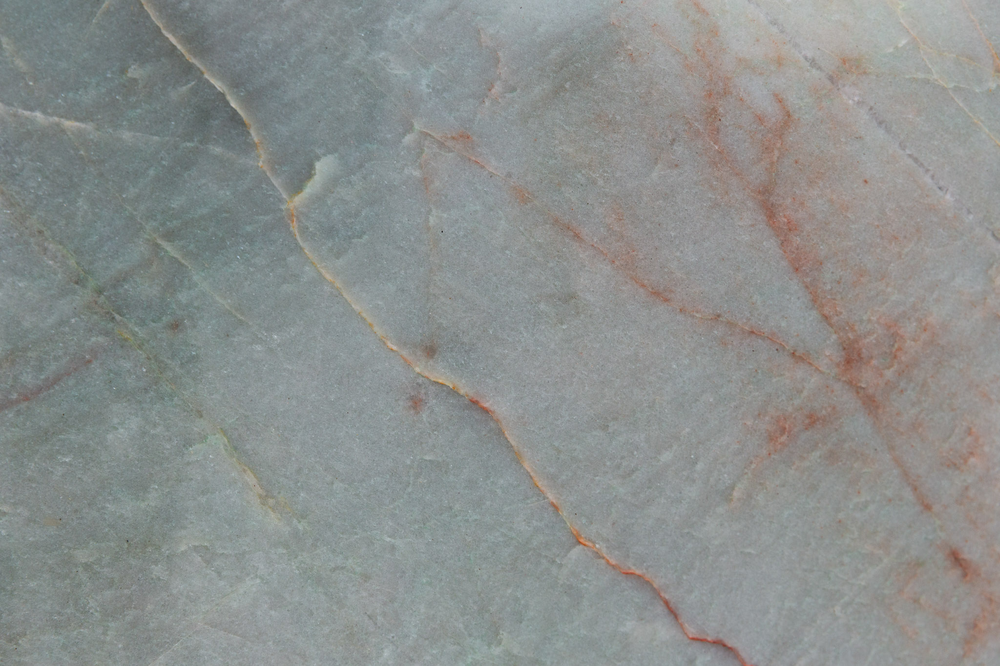 Jadore (240440)