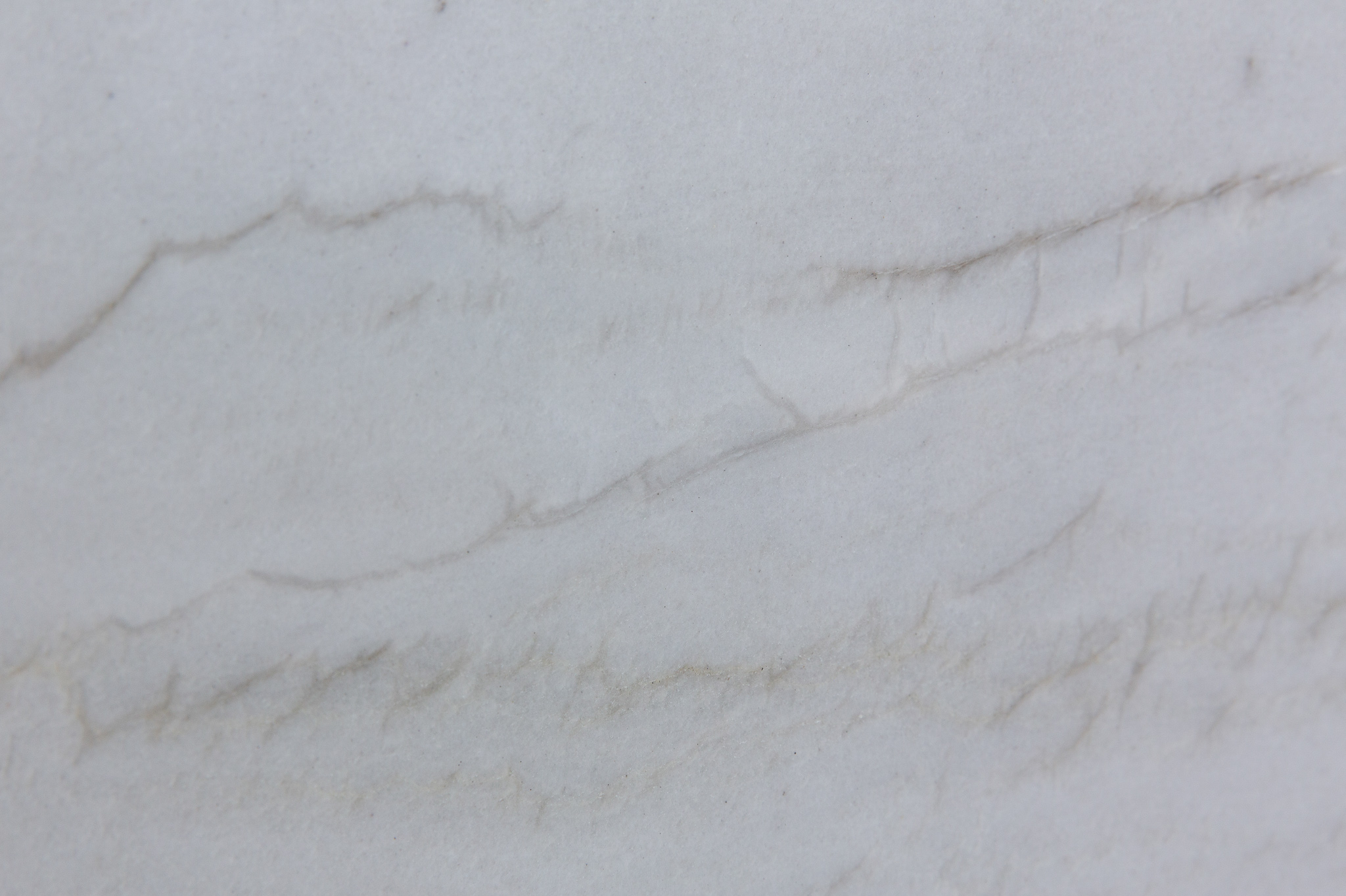 White pearl (210549)