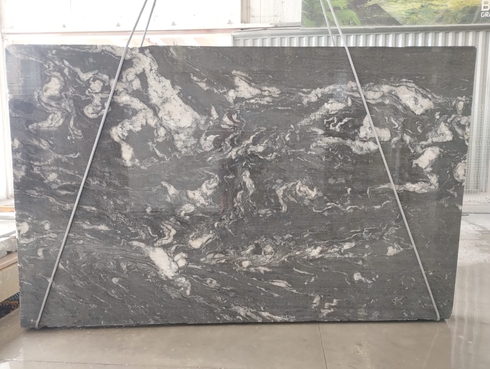 Black Cosmic (250232)