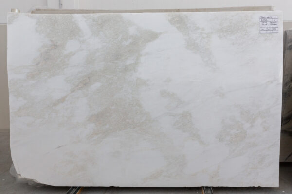 Rino White (210568) - Image 2