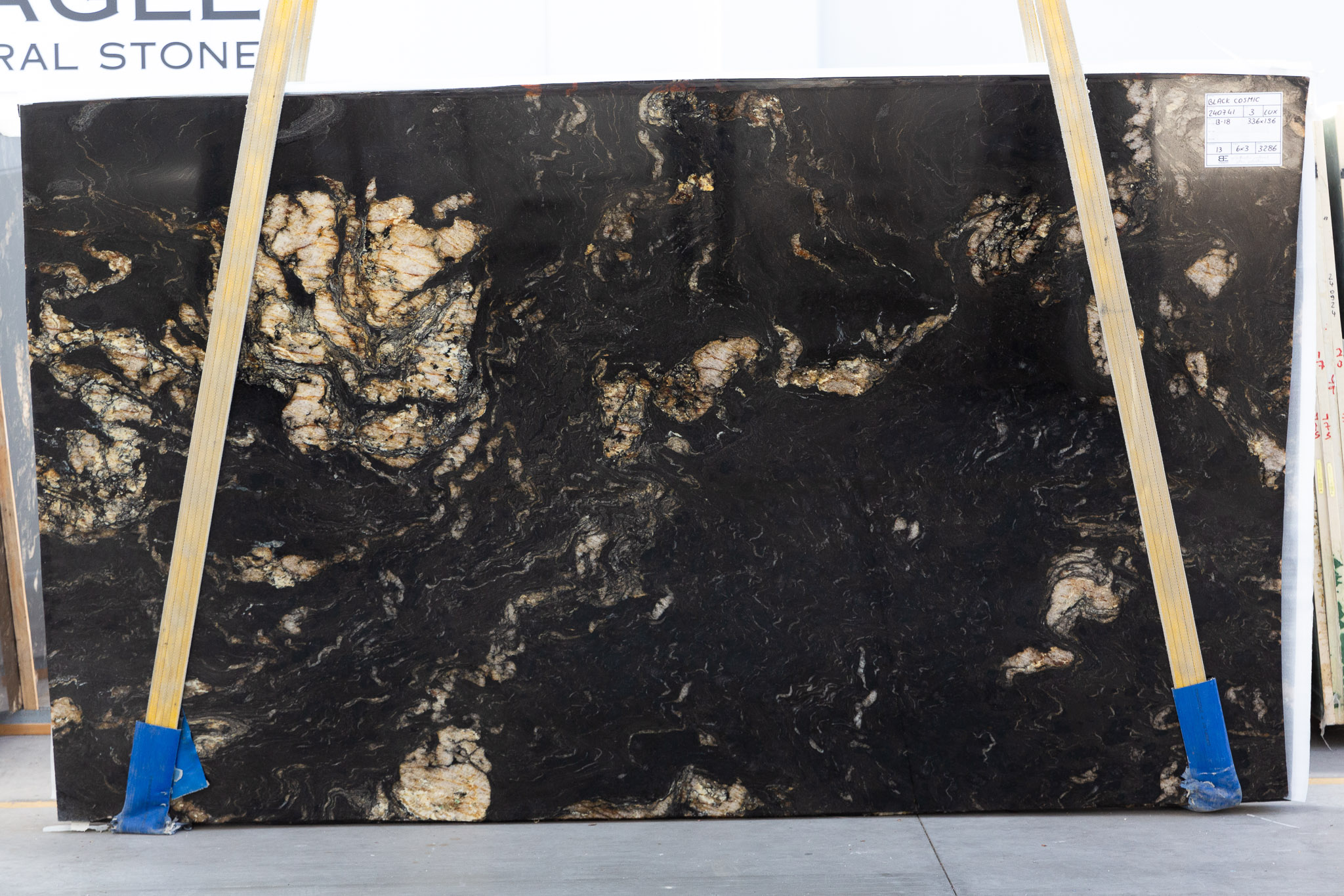 Black Cosmic (240741)