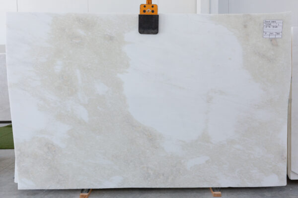 Rino White (210568) - Image 4