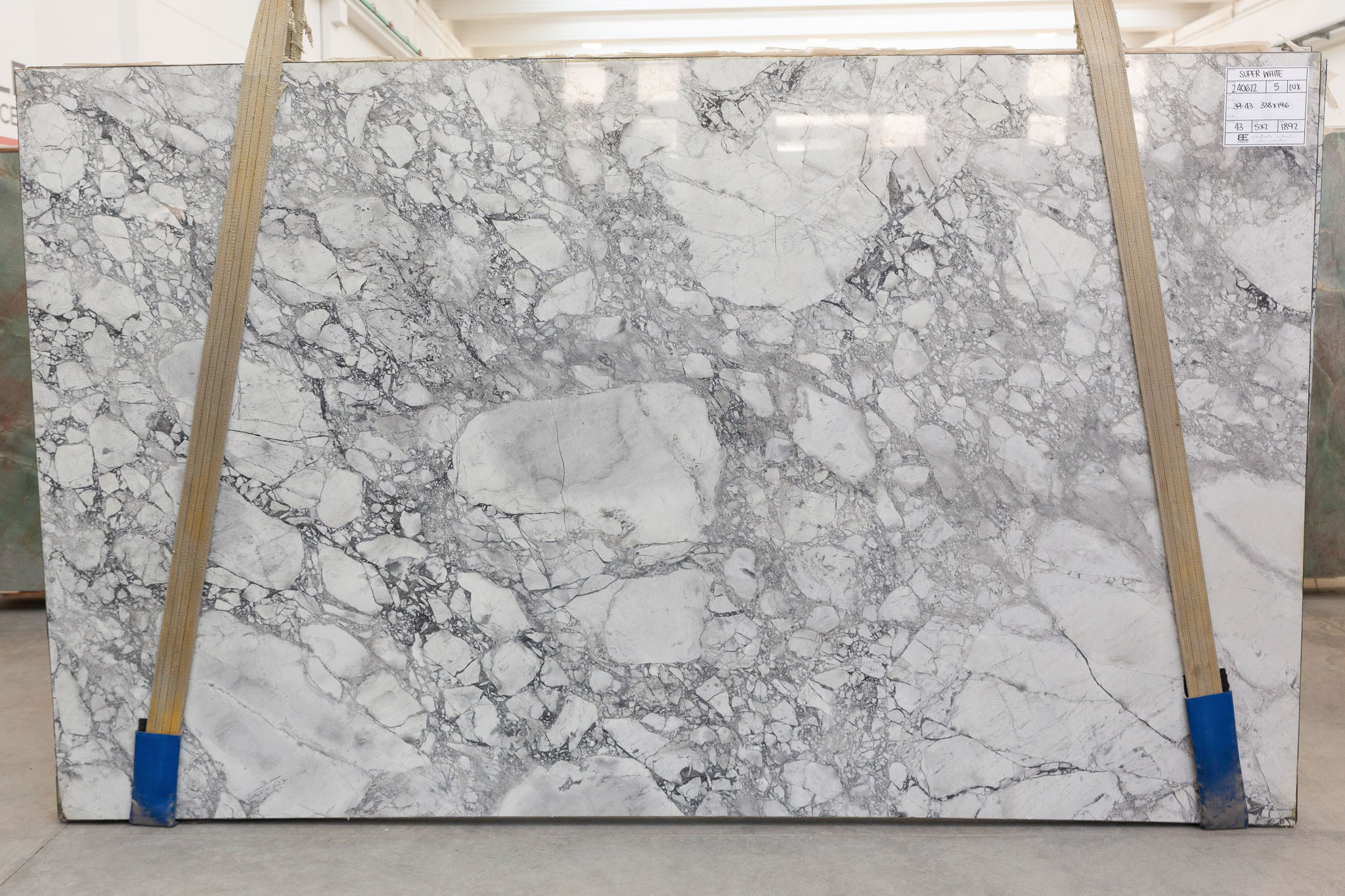 Super white calacatta (240622BR)