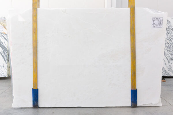 Rino White (240759) - Image 3