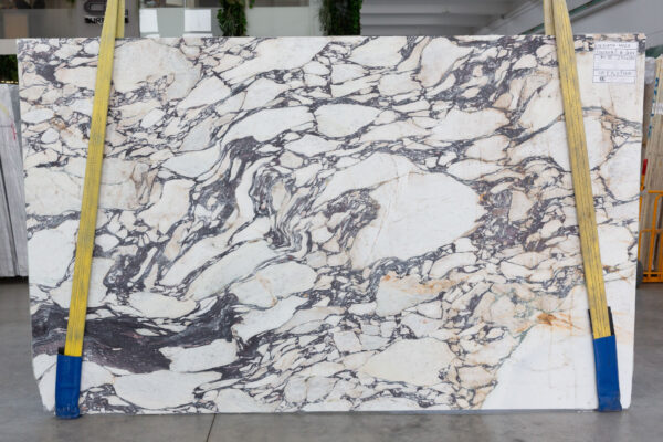 Calacatta Viola (250209) - Image 7