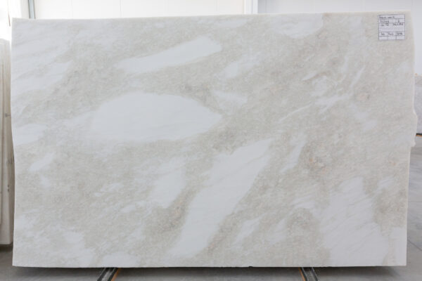 Rino White (210568) - Image 6