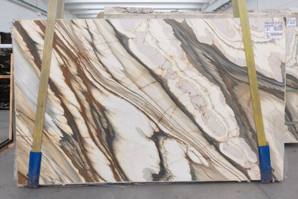 Oyster Apuano (250309) - Image 2