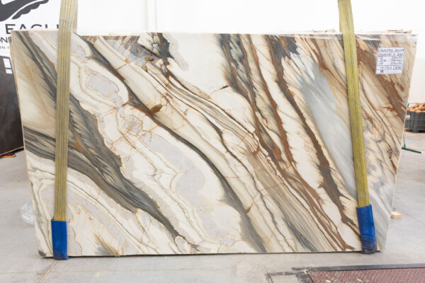 Oyster Apuano (250309) - Image 3