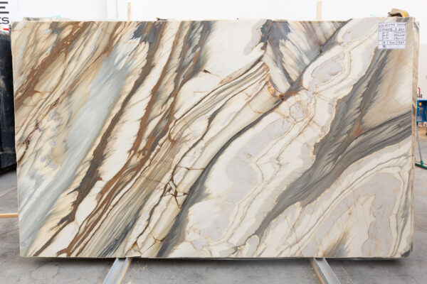 Oyster Apuano (250309) - Image 4
