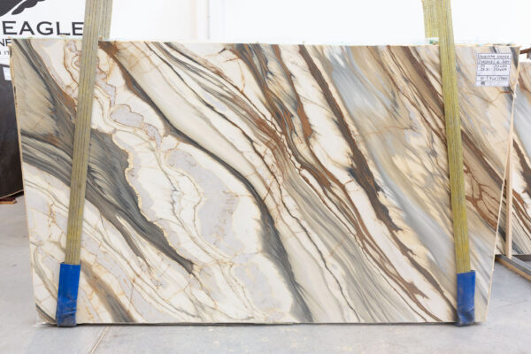 Oyster Apuano (250309) - Image 5