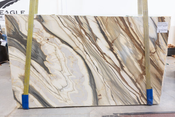 Oyster Apuano (250309) - Image 7