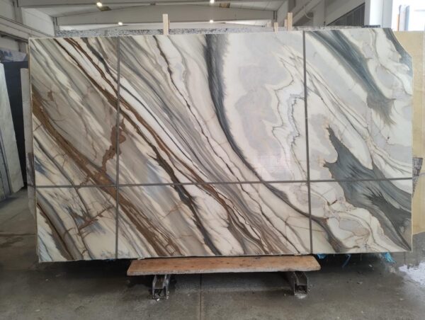 Oyster Apuano (250309) - Image 8