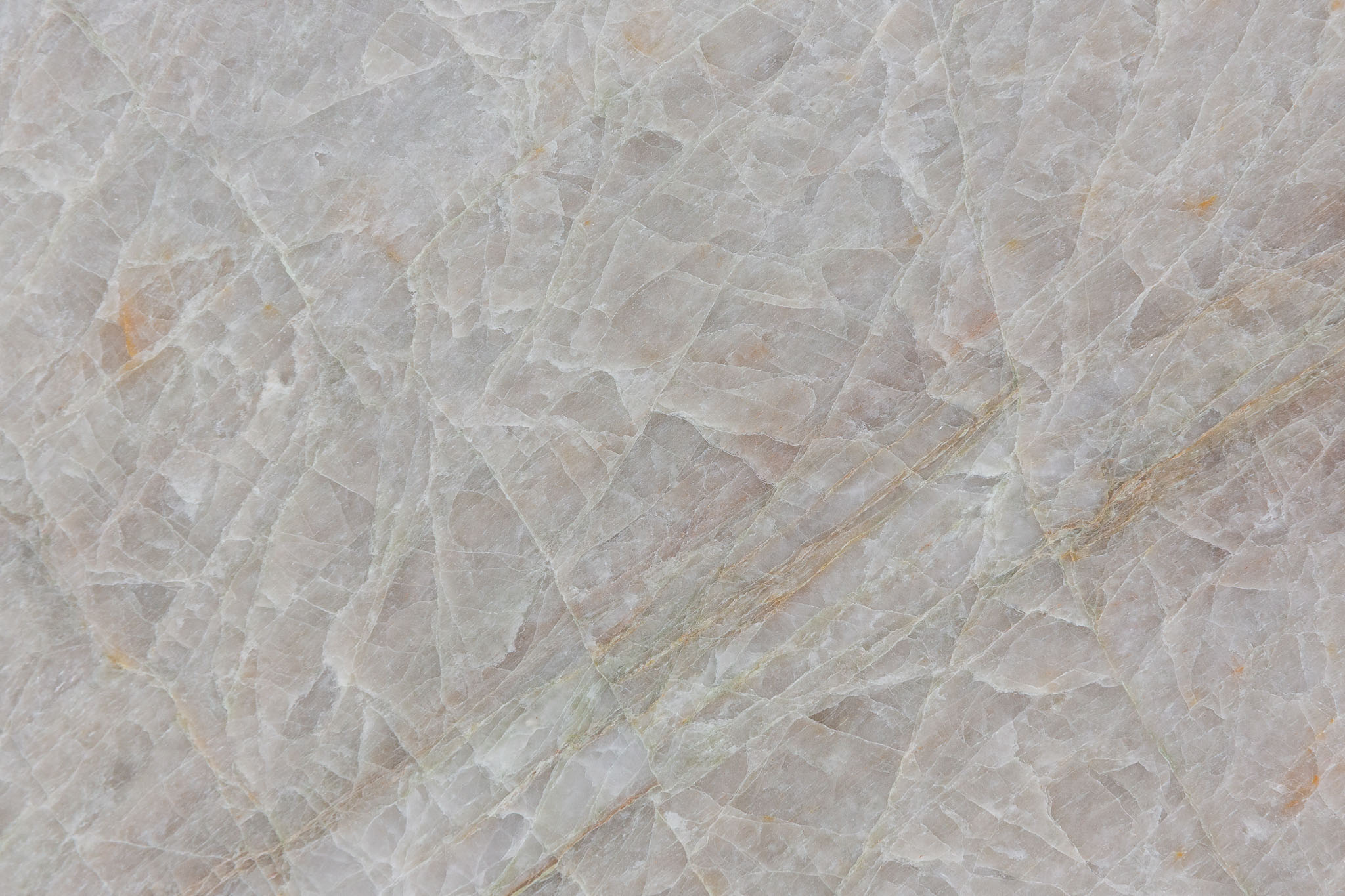 Perla Rocha (250102)