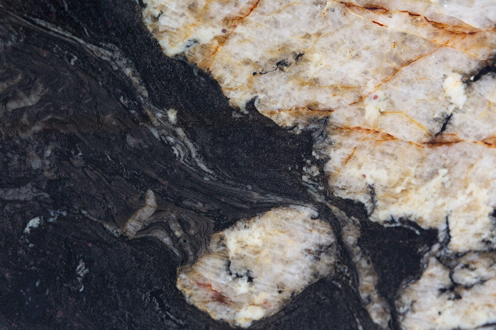 Black Cosmic (240741)