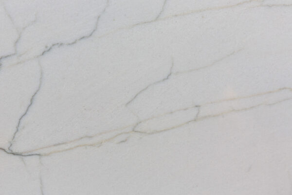 Tesoro bianco (231006)