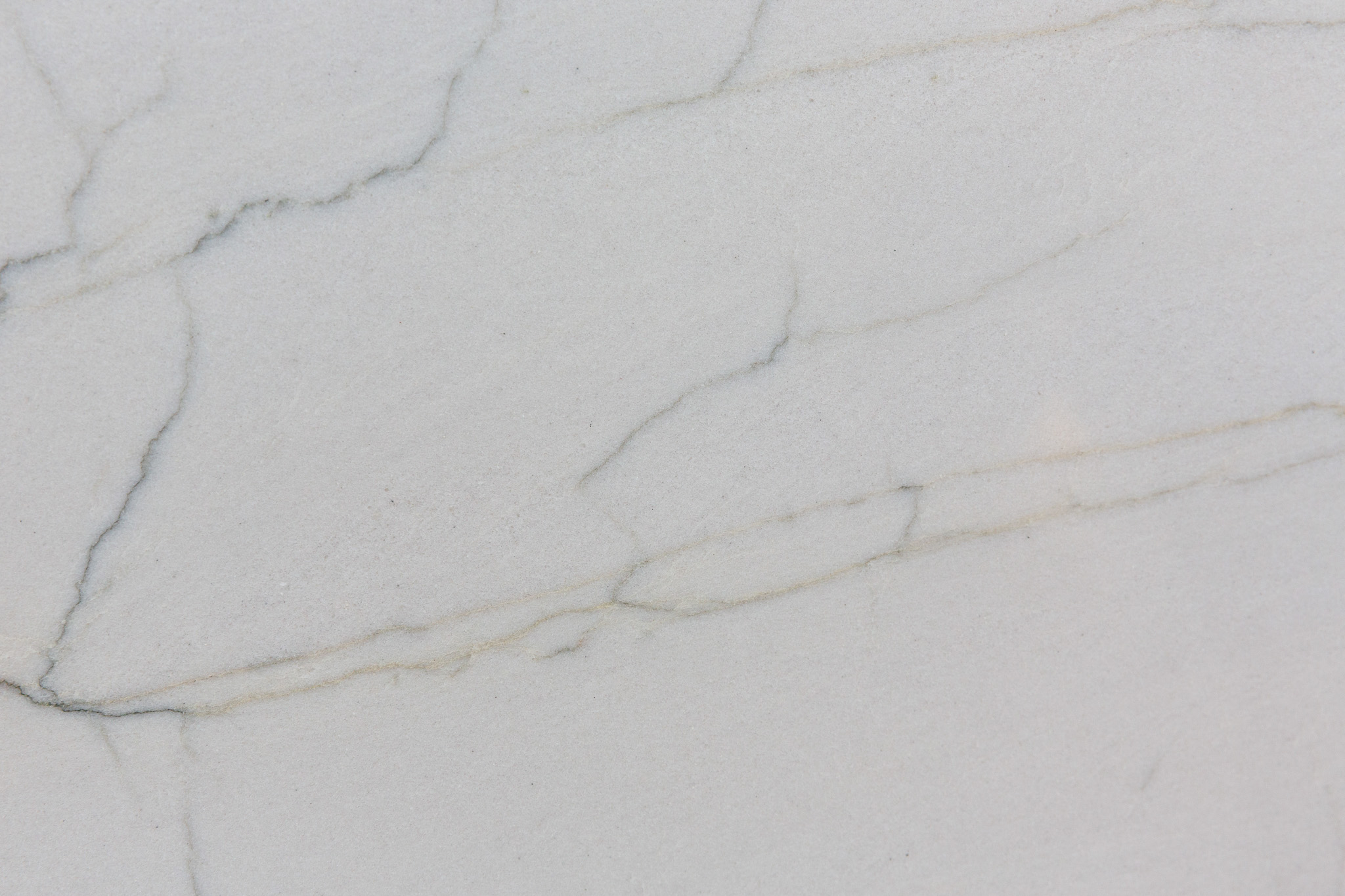 Tesoro bianco (231006)