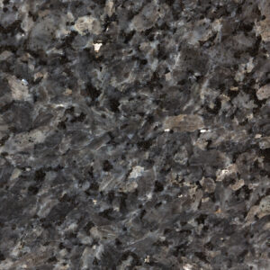 Labrador Blue Pearl (220524)