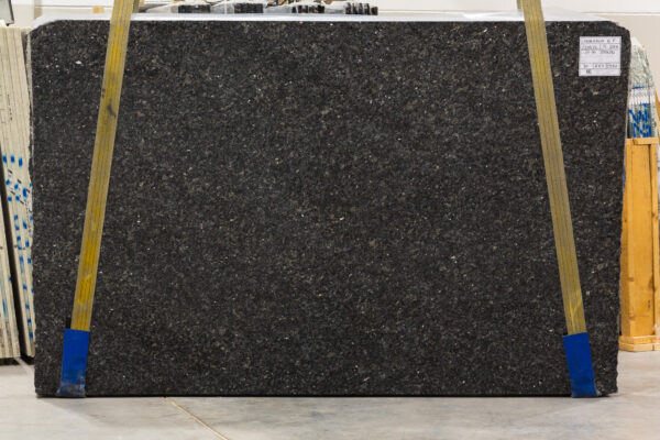 Labrador Blue Pearl (220524) - Image 3