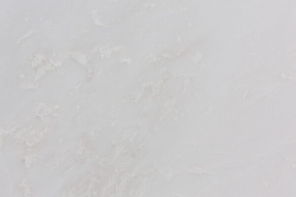 Rino White (240213)