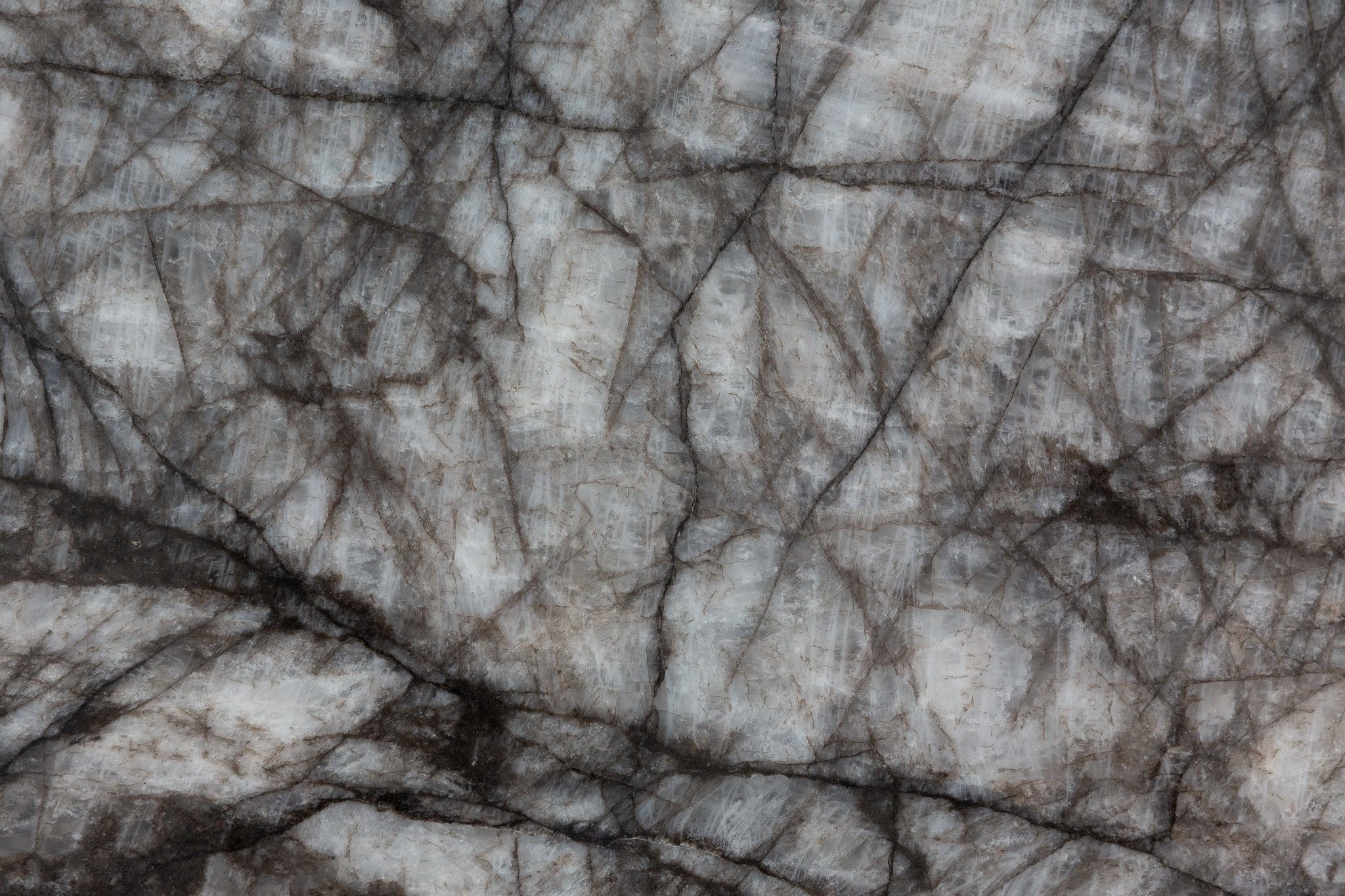 Cristallo Fendi (210760)