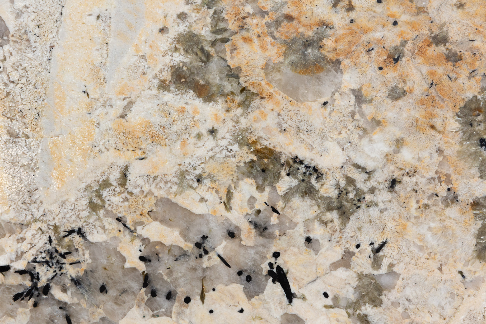 Patagonia fg (240915)