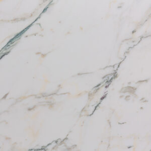 Breccia Capraia (240754)