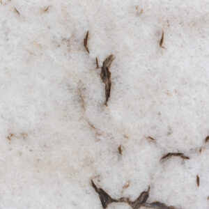 Cristallo Illuminatus (221016)