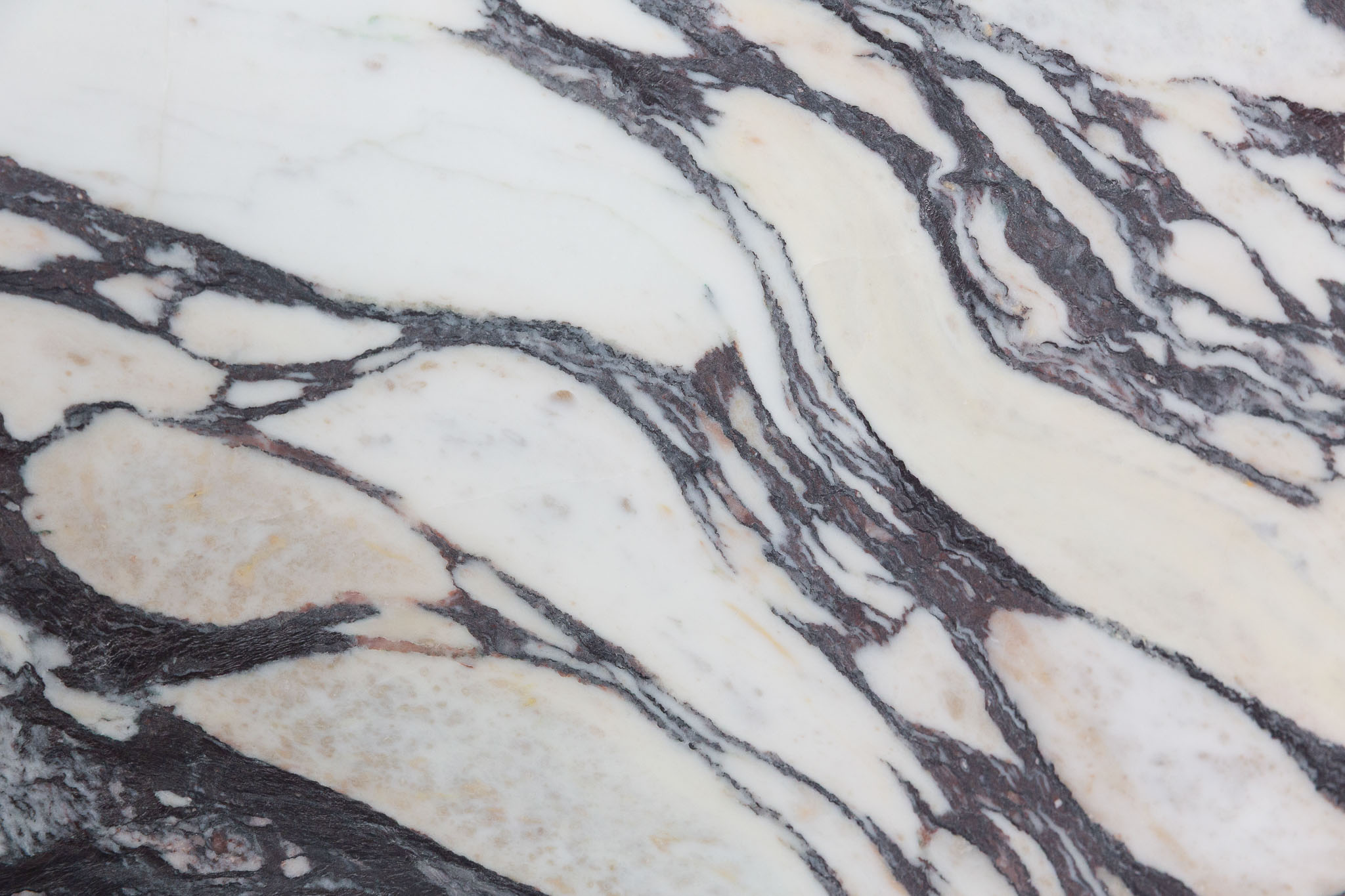 Calacatta Viola (250209)