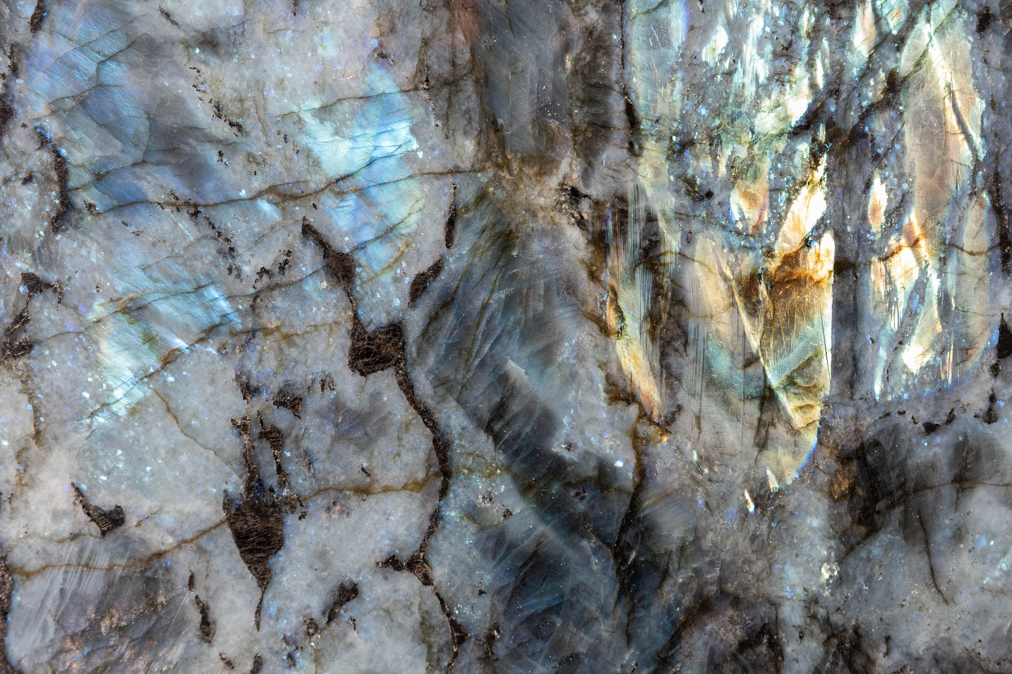 Lemurian blue (240825)