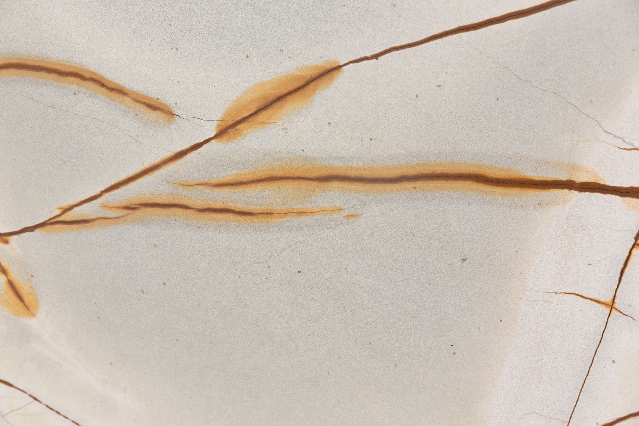 Deep Blue (BE241106)